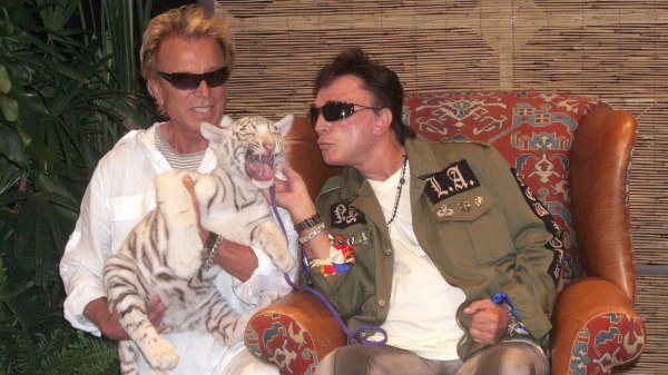 Siegfried & Roy – Αγάπησαν τις λευκές τίγρεις, έκαναν σόου μαζί τους στο Λας Βέγκας, τους δάγκωσαν, άλλαξαν όλα