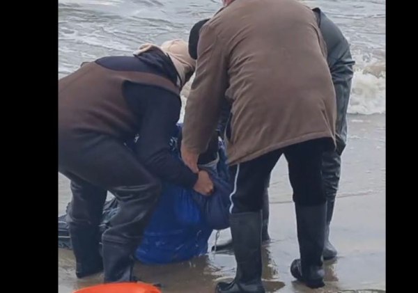 Συγκλονιστικά βίντεο με τη διάσωση του Βούλγαρου ψαρά στις εκβολές του Στρυμόνα – Νεκρός ανασύρθηκε ο φίλος του
