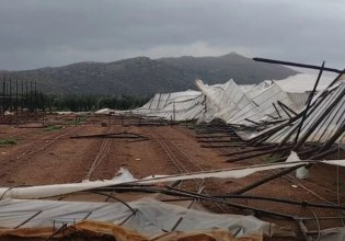 «Σφυροκοπούν» την Κρήτη οι θυελλώδεις άνεμοι: Μεγάλες καταστροφές σε καλλιέργειες και θερμοκήπια