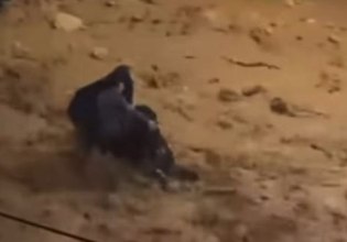 Κακοκαιρία: Δραματική διάσωσης γυναίκας από ορμητικό χείμαρρο στη Γλυφάδα – Δείτε βίντεο