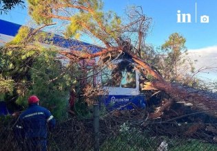 Δέντρο έπεσε πάνω σε τρένο που εκτελούσε το δρομολόγιο Πύργος – Κατάκολο – Στο νοσοκομείο ο μηχανοδηγός