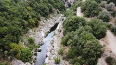 Αλφειός: Δεκάδες νεκρά πρόβατα στον ποταμό – Έκτακτη σύσκεψη στην Περιφέρεια