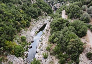 Αλφειός: Δεκάδες νεκρά πρόβατα στον ποταμό – Έκτακτη σύσκεψη στην Περιφέρεια