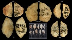 Δηλητηριασμένα βέλη 60.000 ετών δείχνουν την ευρηματικότητα των παλαιολιθικών κυνηγών