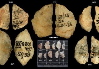 Δηλητηριασμένα βέλη 60.000 ετών δείχνουν την ευρηματικότητα των παλαιολιθικών κυνηγών