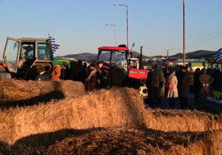 Πεθαίνοντας στο χωράφι: Ρεκόρ αγροτικών δυστυχημάτων το 2025 – Συγκλονιστικά στοιχεία από την ΟΣΕΤΕΕ