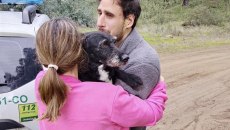 Ακτίδα φωτός μέσ’την τραγωδία: Οικογένεια ξαναβρίσκει τον σκύλο της, που αγνοούταν μετά το δυστύχημα στην Ισπανία