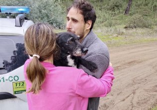 Ακτίδα φωτός μέσ’την τραγωδία: Οικογένεια ξαναβρίσκει τον σκύλο της, που αγνοούταν μετά το δυστύχημα στην Ισπανία