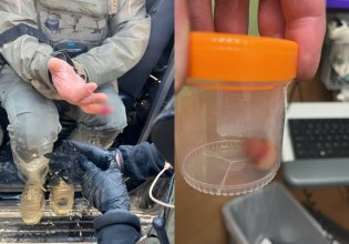 Μινεάπολη: Διαδηλωτές κατηγορούνται πως επιτέθηκαν σε πράκτορα – Ένας φέρεται να του δάγκωσε και του έκοψε το δάχτυλο