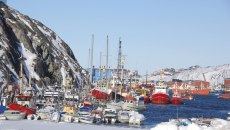 Τζέιμς Λίντσεϊ για Τραμπ: «Θα αναγκάσει Δανία και Γροιλανδία σε συμφωνία»