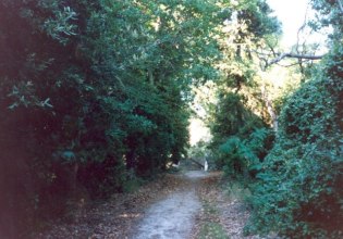 Ο Δήμος Πρεσπών «επενδύει» στη φύση: νέο δίκτυο 32 χιλιομέτρων πεζοπορικών μονοπατιών