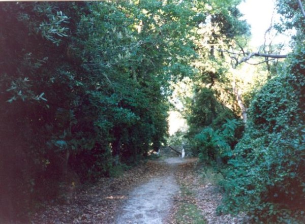 Ο Δήμος Πρεσπών «επενδύει» στη φύση: νέο δίκτυο 32 χιλιομέτρων πεζοπορικών μονοπατιών