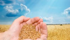 22 εκατομμύρια ευρώ αποδόθηκαν σε παραγωγούς από ολοκληρωμένο πρόγραμμα της περιφέρειας Δυτικής Ελλάδας