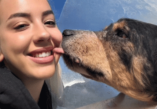 Οι εθελόντριες που προστατεύουν τους σκυλάκους που δεν έχουν οικογένεια