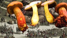 Το μυστηριώδες ψυχεδελικό μανιτάρι που κάνει τους ανθρώπους να βλέπουν «μικροσκοπικά ανθρωπάκια»