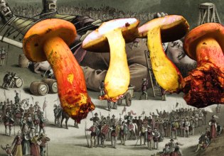 Το μυστηριώδες ψυχεδελικό μανιτάρι που κάνει τους ανθρώπους να βλέπουν «μικροσκοπικά ανθρωπάκια»