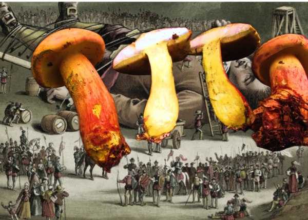 Το μυστηριώδες ψυχεδελικό μανιτάρι που κάνει τους ανθρώπους να βλέπουν «μικροσκοπικά ανθρωπάκια»