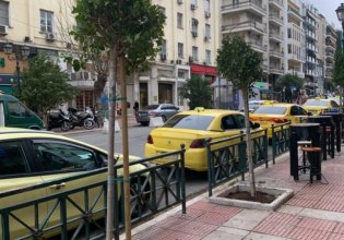 Νέα δέντρα φυτεύθηκαν στο Πασαλιμάνι από τον Δήμο Πειραιά