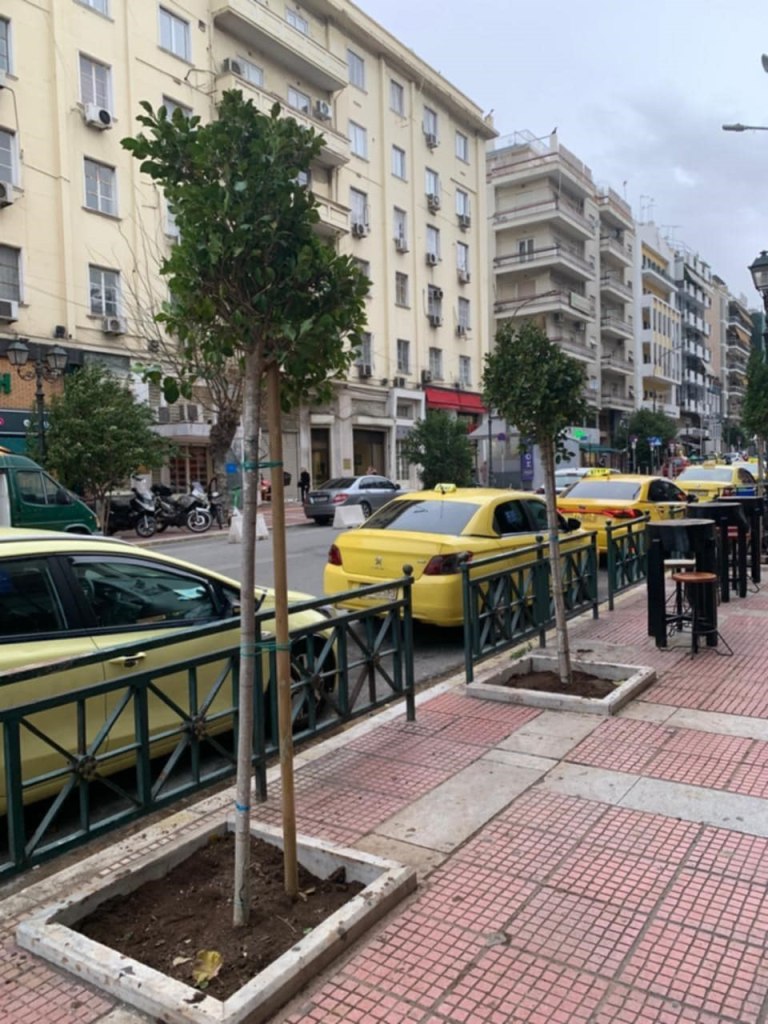 Νέα δέντρα φυτεύθηκαν στο Πασαλιμάνι από τον Δήμο Πειραιά