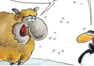 Αρκάς: Η καλημέρα της Τετάρτης