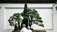 Μακροζωία: Έξι μαθήματα ζωής από τους αιωνόβιους