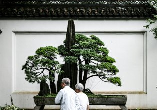 Μακροζωία: Έξι μαθήματα ζωής από τους αιωνόβιους