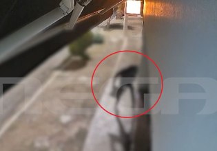 Περιστέρι: Θρασύτατοι διαρρήκτες ρήμαξαν καταστήματα και οχήματα μέσα σε λίγη ώρα – Βίντεο ντοκουμέντο