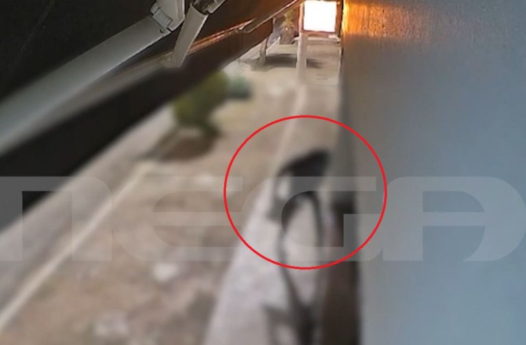 Περιστέρι: Θρασύτατοι διαρρήκτες ρήμαξαν καταστήματα και οχήματα μέσα σε λίγη ώρα – Βίντεο ντοκουμέντο