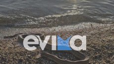 Μεγάλο φίδι βρέθηκε σε παραλία της Εύβοιας