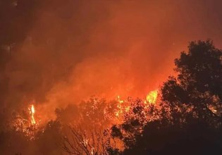 Μεγάλη φωτιά στο Κεφάλι Χανίων – Πνέουν ισχυροί άνεμοι