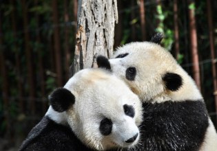 Κίνα: Η αστυνομία συνέλαβε δύο άντρες για την ανάρτηση μίας εικόνας με… «γκέι πάντα»