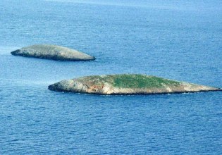 Ίμια: Τύφλωση και ακρισία