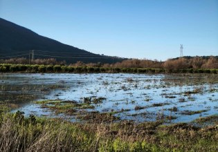 Ήπειρος: Υπερχείλισε ο ποταμός Καλαμάς, πλημμύρισαν καλλιέργειες – Ανησυχία ενόψει της νέας κακοκαιρίας