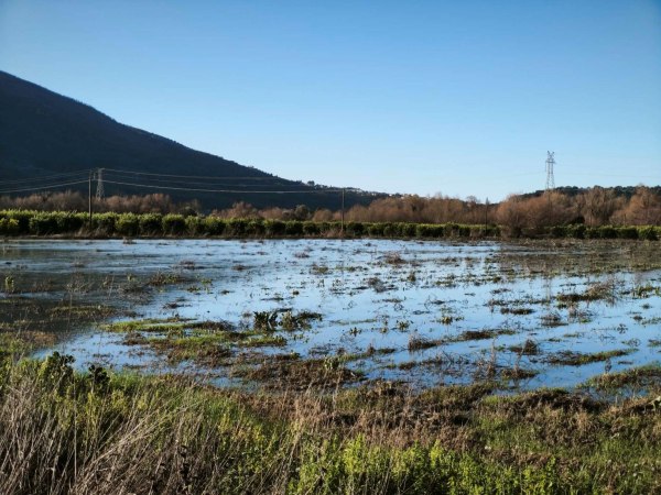 Ήπειρος: Υπερχείλισε ο ποταμός Καλαμάς, πλημμύρισαν καλλιέργειες – Ανησυχία ενόψει της νέας κακοκαιρίας