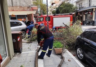 Κατερίνη: Σοκαριστικό βίντεο από πτώση δέντρου ανάμεσα σε πεζούς λόγω των ισχυρών ανέμων