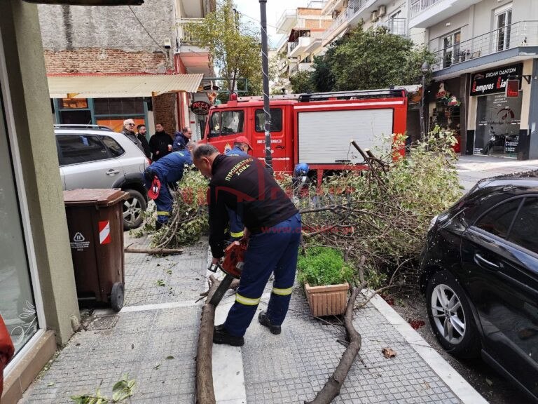 Κατερίνη: Σοκαριστικό βίντεο από πτώση δέντρου ανάμεσα σε πεζούς λόγω των ισχυρών ανέμων