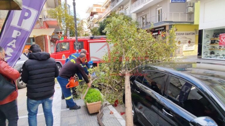 εικόνα που δείχνει πυροσβέστες να τεμαχίζουν το κομμάτι του δέντρου προτού το απομακρύνουν από το σημείο