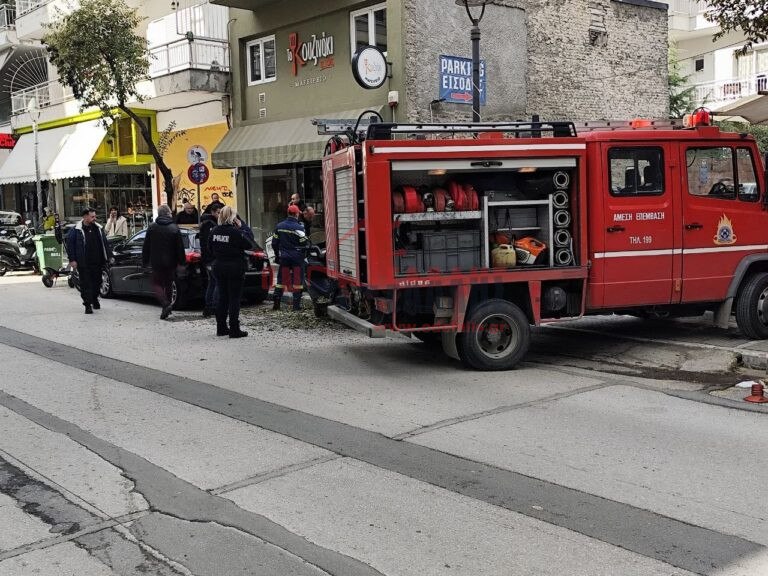 εικόνα που δείχνει δύναμη της Πυροσβεστικής που επιχειρεί στο σημείο της πτώσης του δέντρου στην Κατερίνη