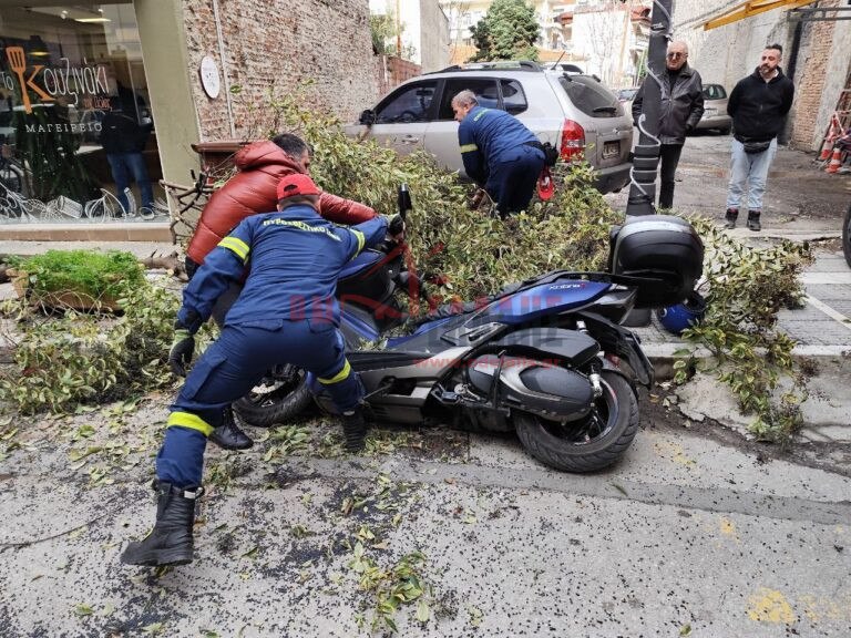 εικόνα που δείχνει πολίτες και άνδρες της Πυροσβεστικής να προσπαθούν να σηκώσουν το μηχανάκι που έχει καταπλακωθεί από το τεράστιο κομμάτι του δέντρου
