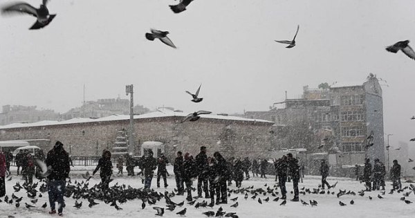 Στα λευκά «ντύθηκε» η Κωνσταντινούπολη την πρώτη ημέρα του χρόνου – Χιονοστιβάδες στην πόλη Βαν [βίντεο]