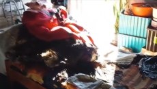 Ναύπακτος: Νέα στοιχεία για το θάνατο των δύο αδερφών – Τι έδειξαν οι τοξικολογικές και πότε παρουσιάστηκαν οι 5 διαθήκες