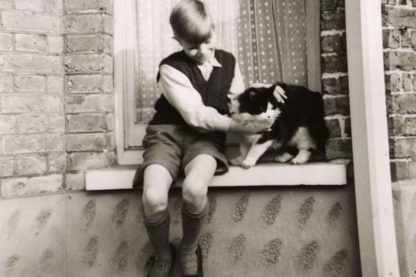 «Ο κόσμος μου όλος» – Το πατρικό σπίτι του εφήβου Ντέιβιντ Μπόουι ανοιχτό στο κοινό από το 2027