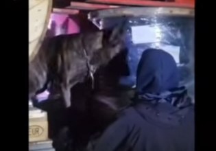 Πάτρα: Κατασχέθηκαν ναρκωτικά αξίας 900.000 ευρώ – Δύο συλλήψεις από το Λιμενικό