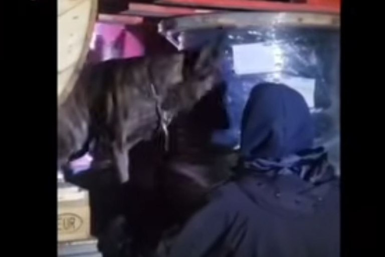 Πάτρα: Κατασχέθηκαν ναρκωτικά αξίας 900.000 ευρώ – Δύο συλλήψεις από το Λιμενικό