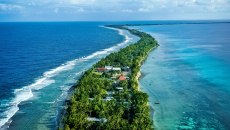 Ακόμα και στα απομονωμένα νησιά του Ειρηνικού, τα ψάρια είναι γεμάτα μικροπλαστικά