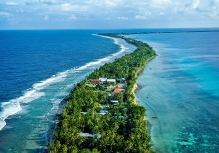 Ακόμα και στα απομονωμένα νησιά του Ειρηνικού, τα ψάρια είναι γεμάτα μικροπλαστικά
