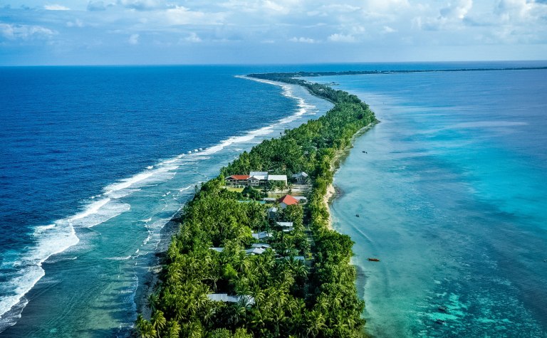 Ακόμα και στα απομονωμένα νησιά του Ειρηνικού, τα ψάρια είναι γεμάτα μικροπλαστικά