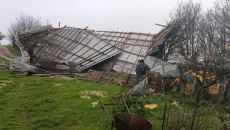 Ηλεία: Ανεμοστρόβιλος ισοπέδωσε κτηνοτροφική μονάδα – Αγνοούνται 60 πρόβατα