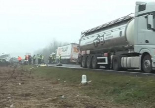 Από την Αλεξάνδρεια Ημαθίας τρεις από τους νεκρούς οπαδούς του ΠΑΟΚ