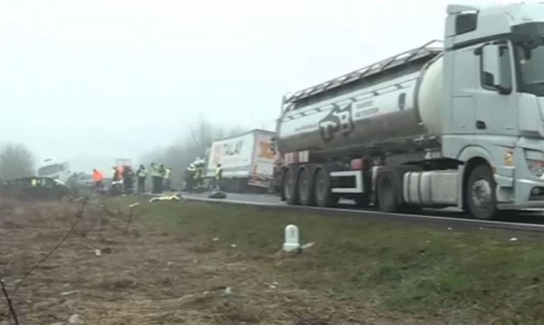 Από την Αλεξάνδρεια Ημαθίας τρεις από τους νεκρούς οπαδούς του ΠΑΟΚ